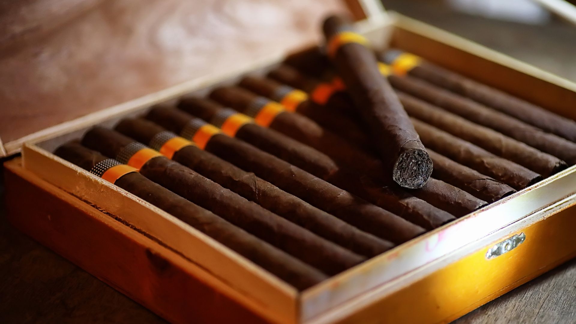Luxury wooden box filled with dark brown cigars with colorful bands